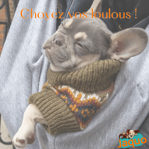 Pack de 3 compléments alimentaires "Résolutions du jour de l'an" JAQUO pour chien